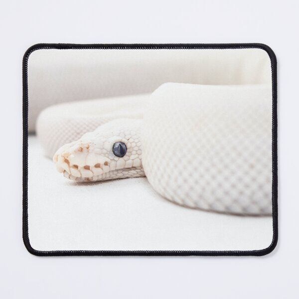Item preview, Albino x Skin x Head designed and sold by HouseOvN.