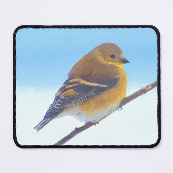Item preview, American Goldfinch in WInter designed and sold by alpendesigns.