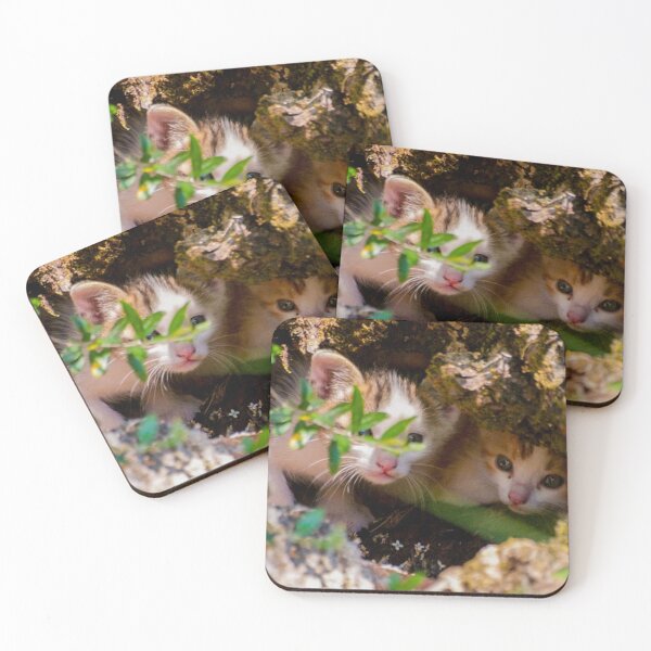 Item preview, Curious kittens designed and sold by OskiOnTour.