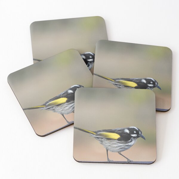 Item preview, New Holland Honeyeater designed and sold by indiafrankk.