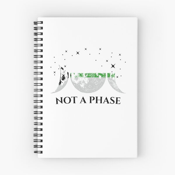 Item preview, Funny Demiromantic Pride Flag Not A Phase designed and sold by brightgift.