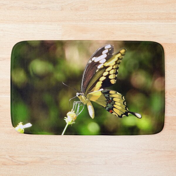 Item preview, Butterfly #0001 designed and sold by Jeffrey Mask.