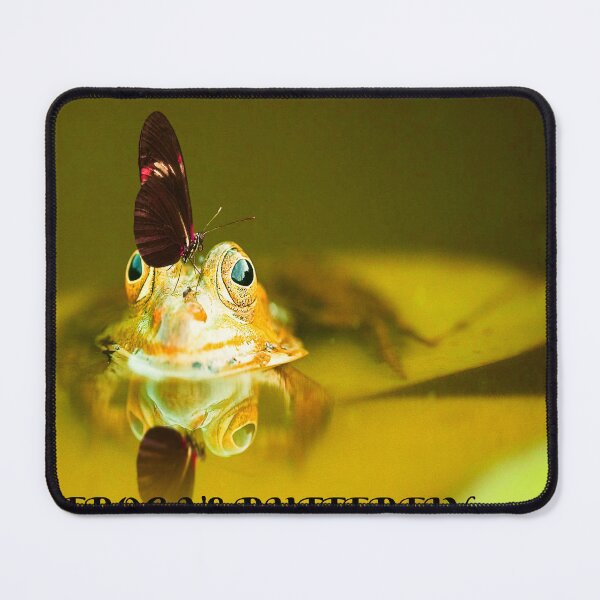 Item preview, The frog vs butterfly. designed and sold by RAJSHIVA.