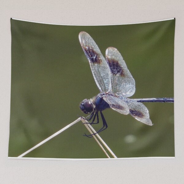 Item preview, Dragonfly #0001 designed and sold by Jeffrey Mask.