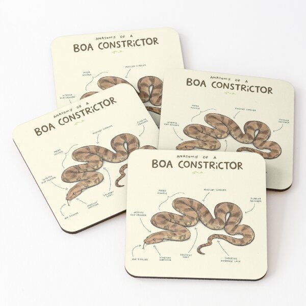 Item preview, Anatomy of a Boa Constrictor designed and sold by SophieCorrigan.