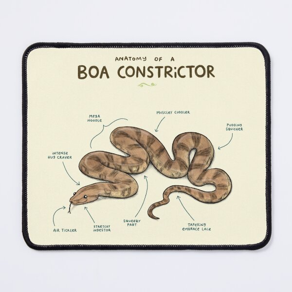 Item preview, Anatomy of a Boa Constrictor designed and sold by SophieCorrigan.