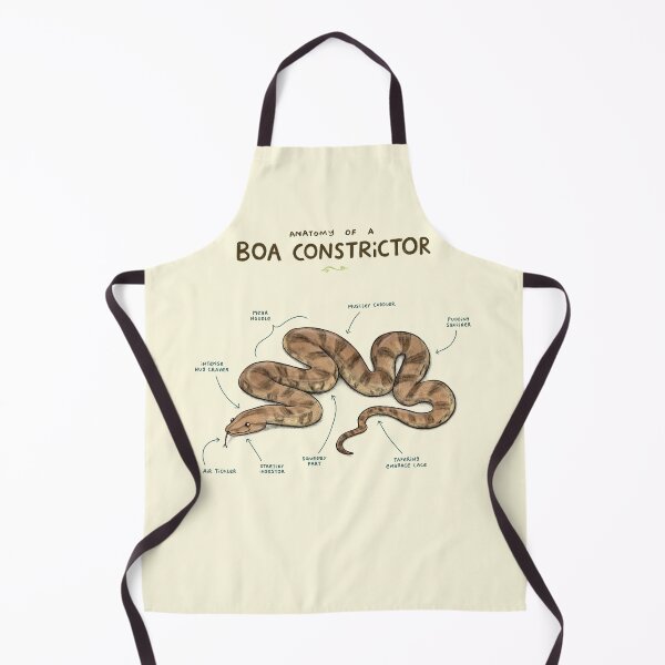 Item preview, Anatomy of a Boa Constrictor designed and sold by SophieCorrigan.