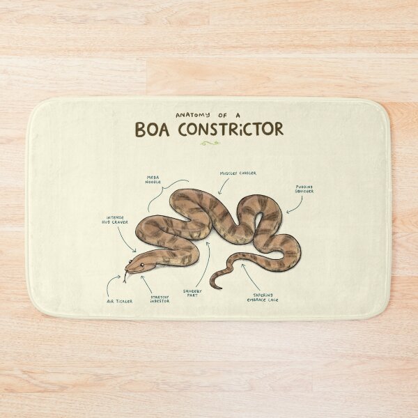 Item preview, Anatomy of a Boa Constrictor designed and sold by SophieCorrigan.