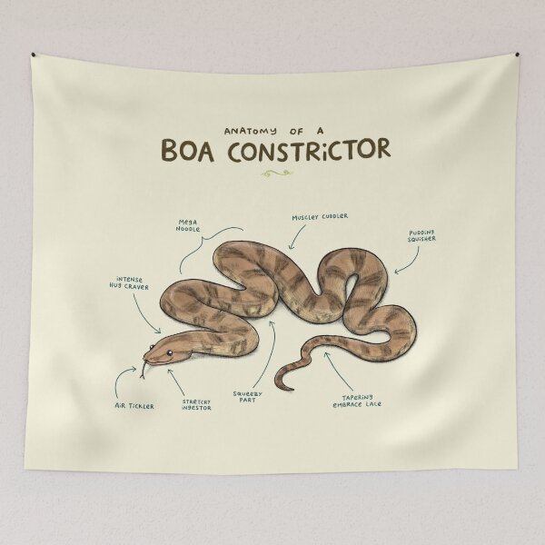 Item preview, Anatomy of a Boa Constrictor designed and sold by SophieCorrigan.