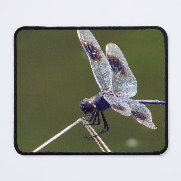Item preview, Dragonfly #0001 designed and sold by Jeffrey Mask.