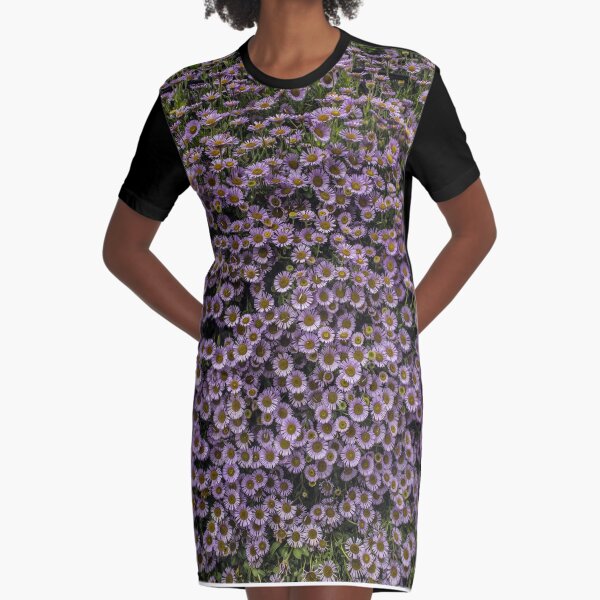 Seaside Daisy Graphic T-Shirt Dress