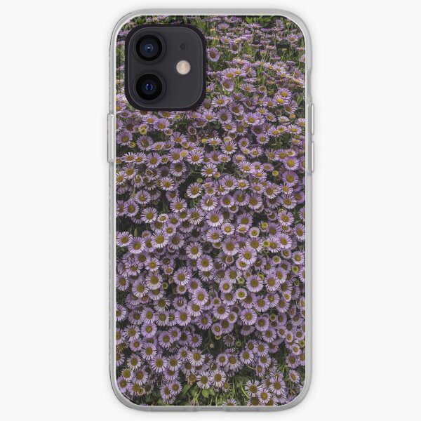 Seaside Daisy iPhone Soft Case