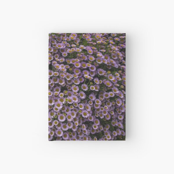 Seaside Pink Daisy Hardcover Journal