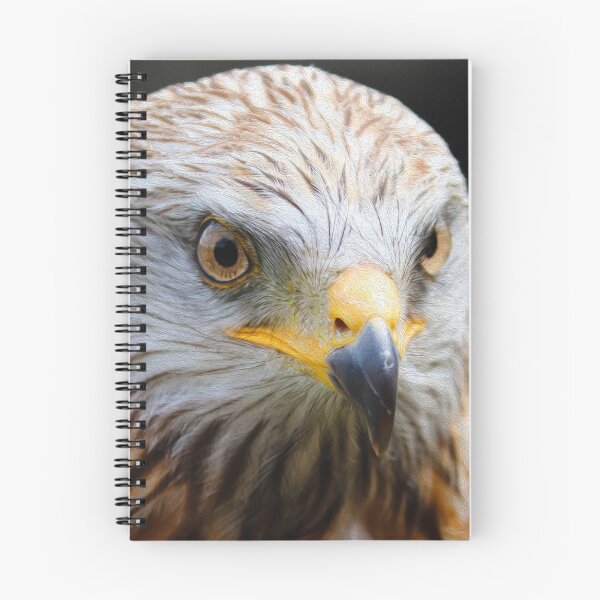 Item preview, The Buzzard designed and sold by AussieAck.