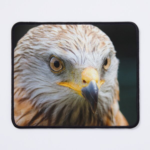 Item preview, The Buzzard designed and sold by AussieAck.