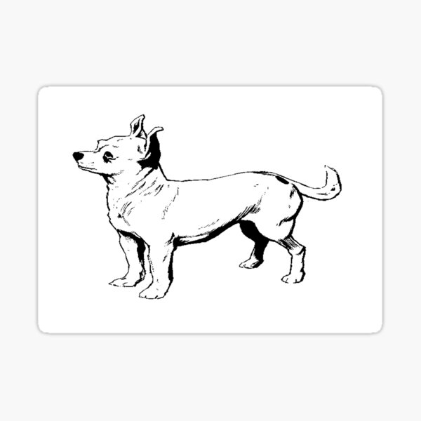 Black And White Chihuahua Gifts Merchandise Redbubble