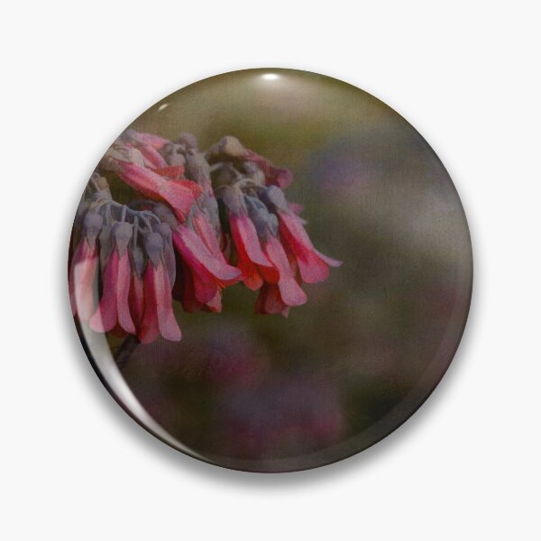 Item preview, Kalanchoe Delagoensis Wildflower designed and sold by nbrandsberg.