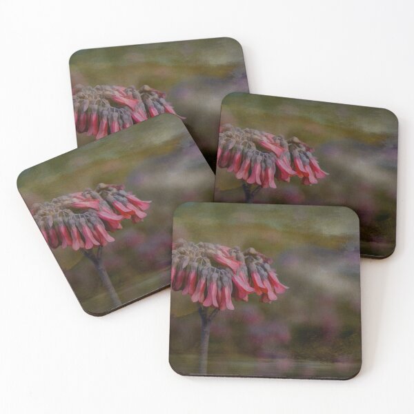 Item preview, Kalanchoe Delagoensis Wildflower designed and sold by nbrandsberg.
