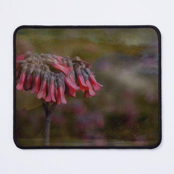 Item preview, Kalanchoe Delagoensis Wildflower designed and sold by nbrandsberg.