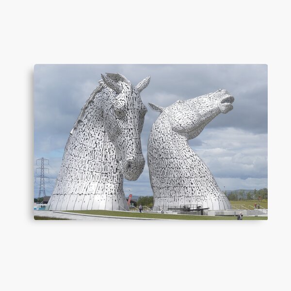 Metal Print