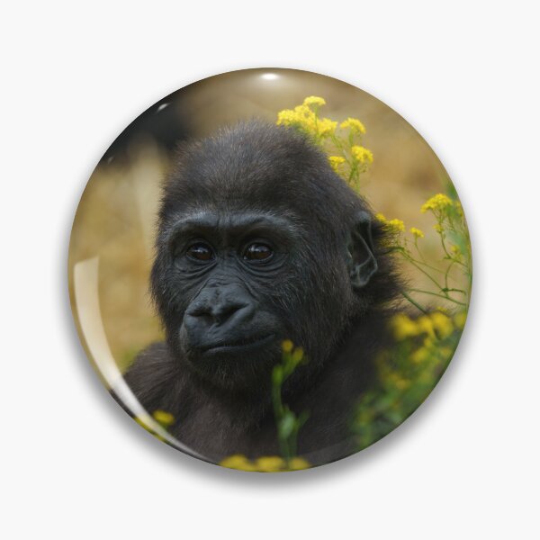 Item preview, Lindo bebé gorila designed and sold by rawshutterbug.