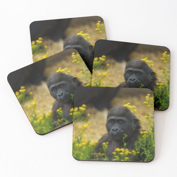 Item preview, Cute Gorilla Baby designed and sold by rawshutterbug.