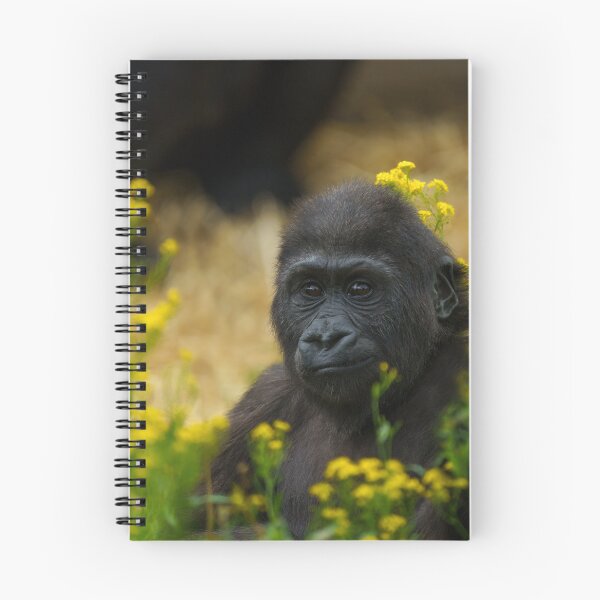 Item preview, Lindo bebé gorila designed and sold by rawshutterbug.