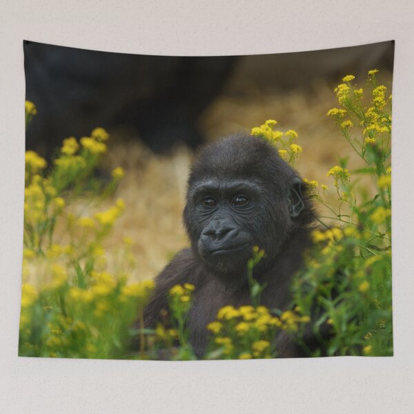 Item preview, Cute Gorilla Baby designed and sold by rawshutterbug.