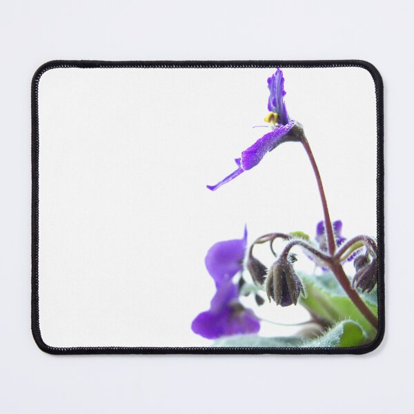 Item preview, Elegant Violet Flower on White designed and sold by denis-romanov.