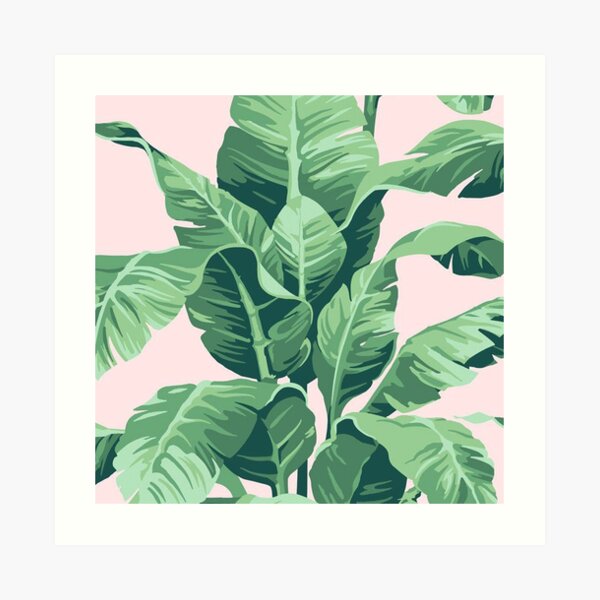 Beverly Hills Palm Leaf Banana Print Pink Art Print