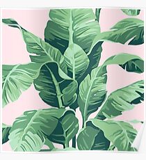 Póster Beverly Hills hoja de palma plátano rosa Print