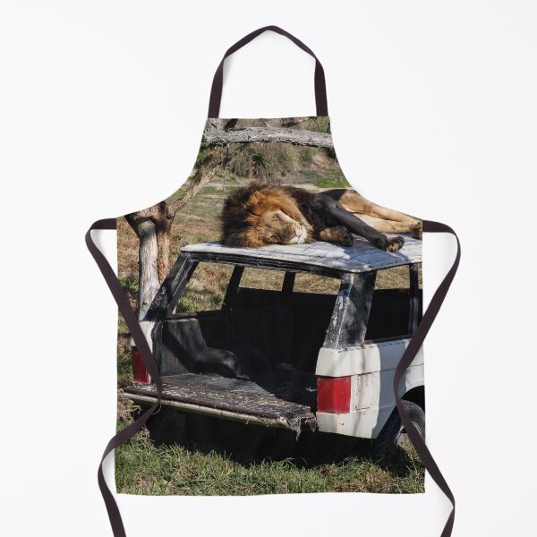 Item preview, The King Takes a Nap designed and sold by heatherfriedman.