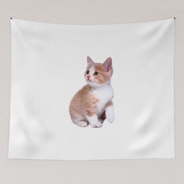 Item preview, cute cat sticker designed and sold by ETUSTORE.