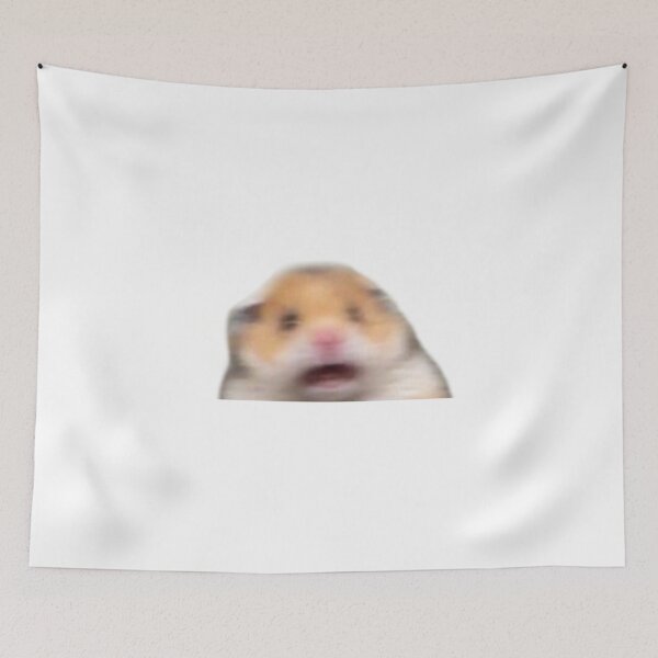 Item preview, scared meme funny designed and sold by ETUSTORE.