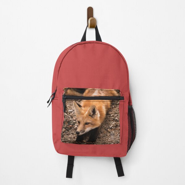 Item preview, The sly fox awaits designed and sold by Inspieation.