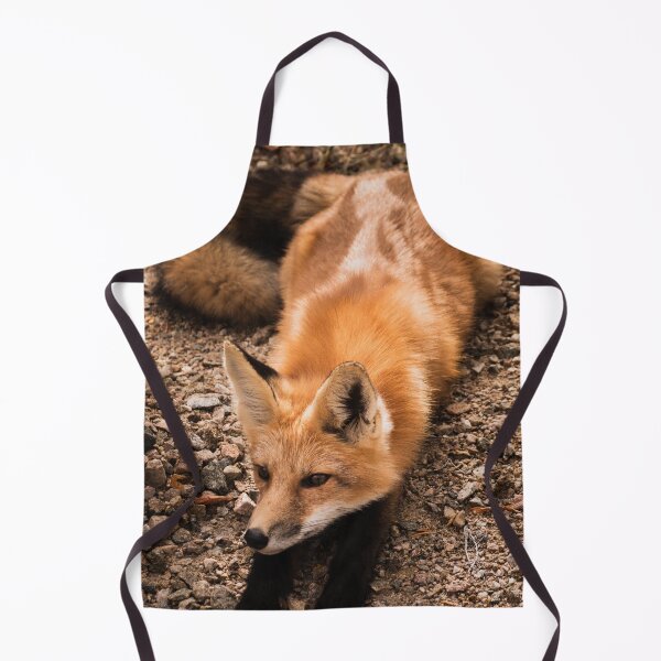 Item preview, The sly fox awaits designed and sold by Inspieation.