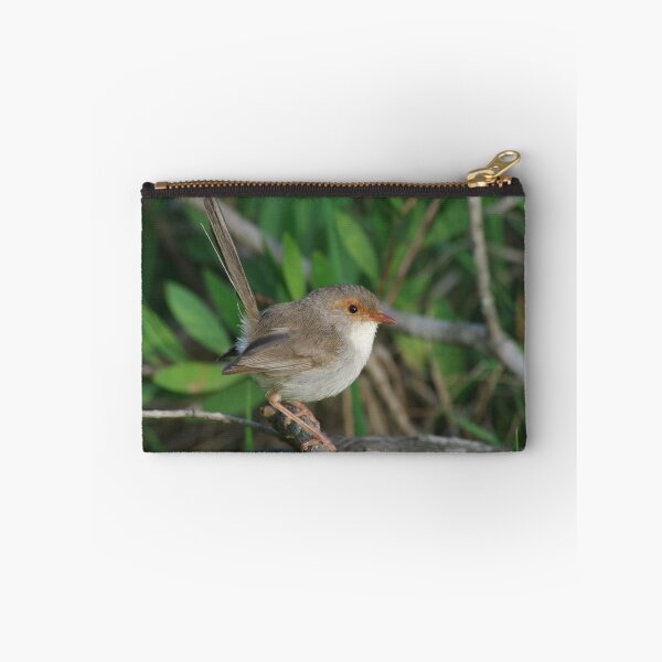 Item preview, Superb Fairy Wren Female designed and sold by Lyle McNamara.