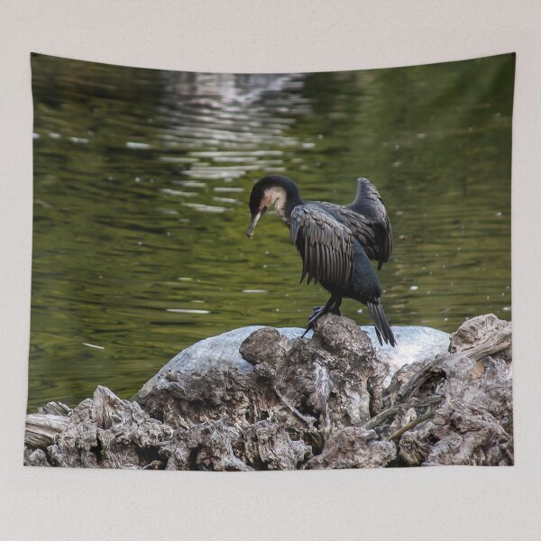 Item preview, OK, Ready, Here I Go!! designed and sold by heatherfriedman.