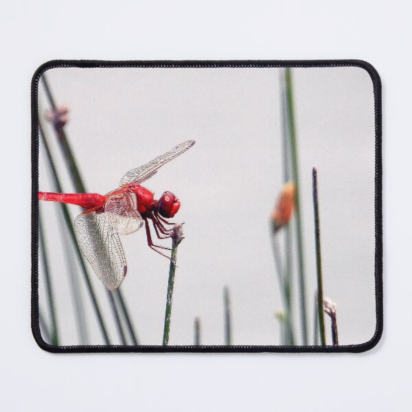 Item preview, Dragonfly #0002 designed and sold by Jeffrey Mask.
