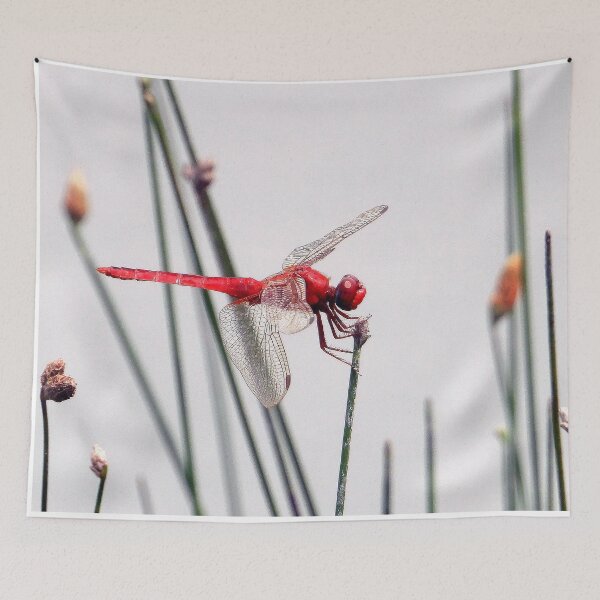 Item preview, Dragonfly #0002 designed and sold by Jeffrey Mask.