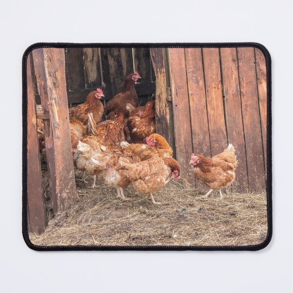 Item preview, Clucky Hens on the farm designed and sold by HaleyRedshaw.