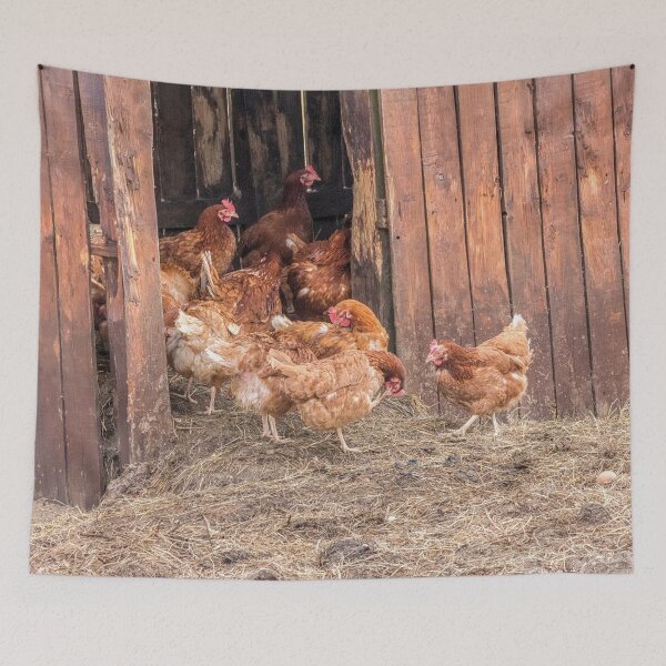 Item preview, Clucky Hens on the farm designed and sold by HaleyRedshaw.