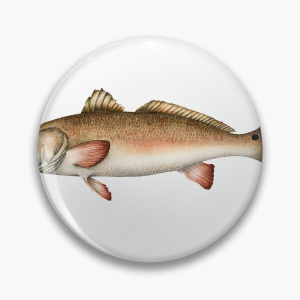 Item preview, Redfish designed and sold by eucamus.
