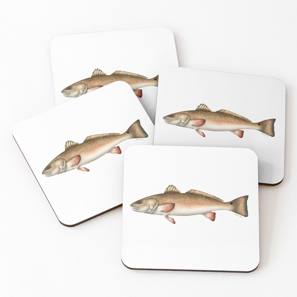 Item preview, Coasters (Set of 4) designed and sold by eucamus.