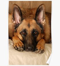 My Loyal Friend Poster