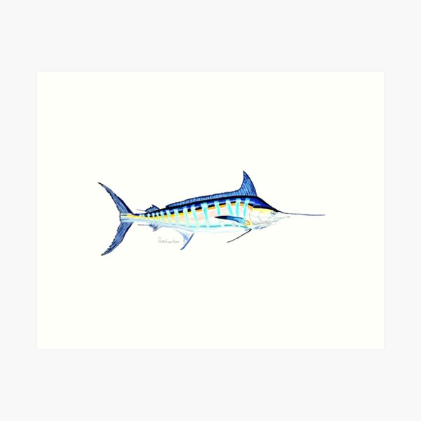 Blue Marlin Art Print