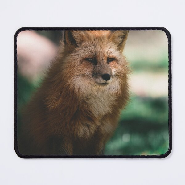 Item preview, Sitting fox designed and sold by Inspieation.