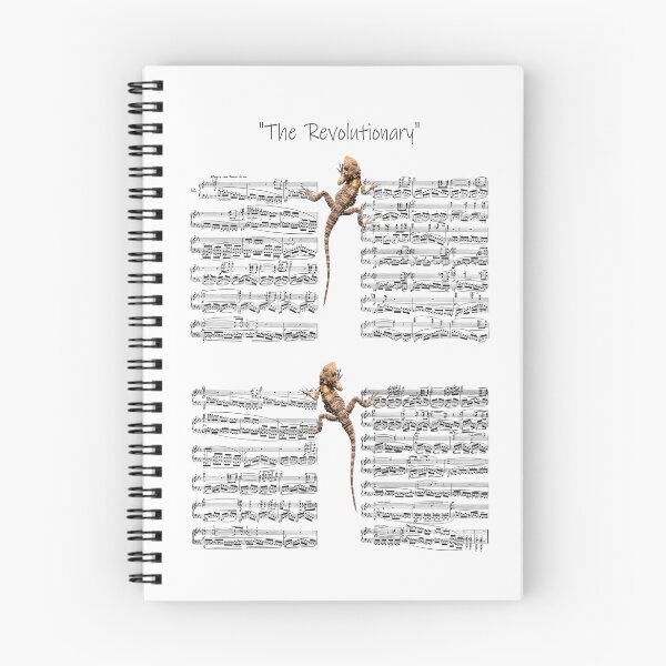 Item preview, Reptiles carefully study the notes of the famous work of Chopin. designed and sold by farmer248.