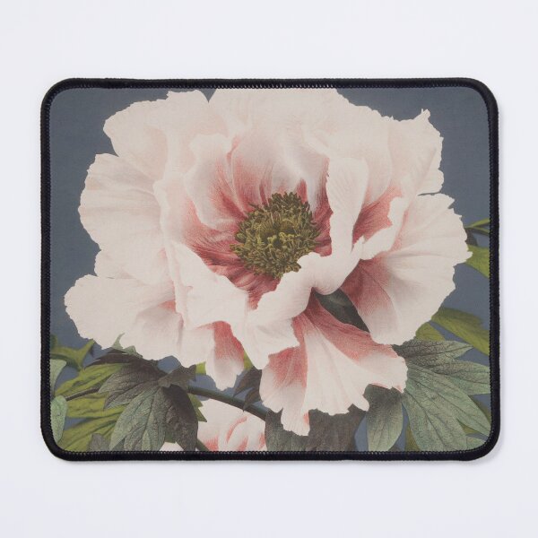 Item preview, Peony by Ogawa Kazumasa designed and sold by LeoLabs.