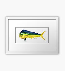 Mahi Mahi Framed Print